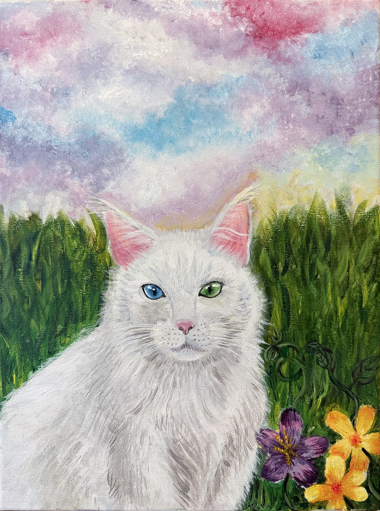Eyes of a Warrior